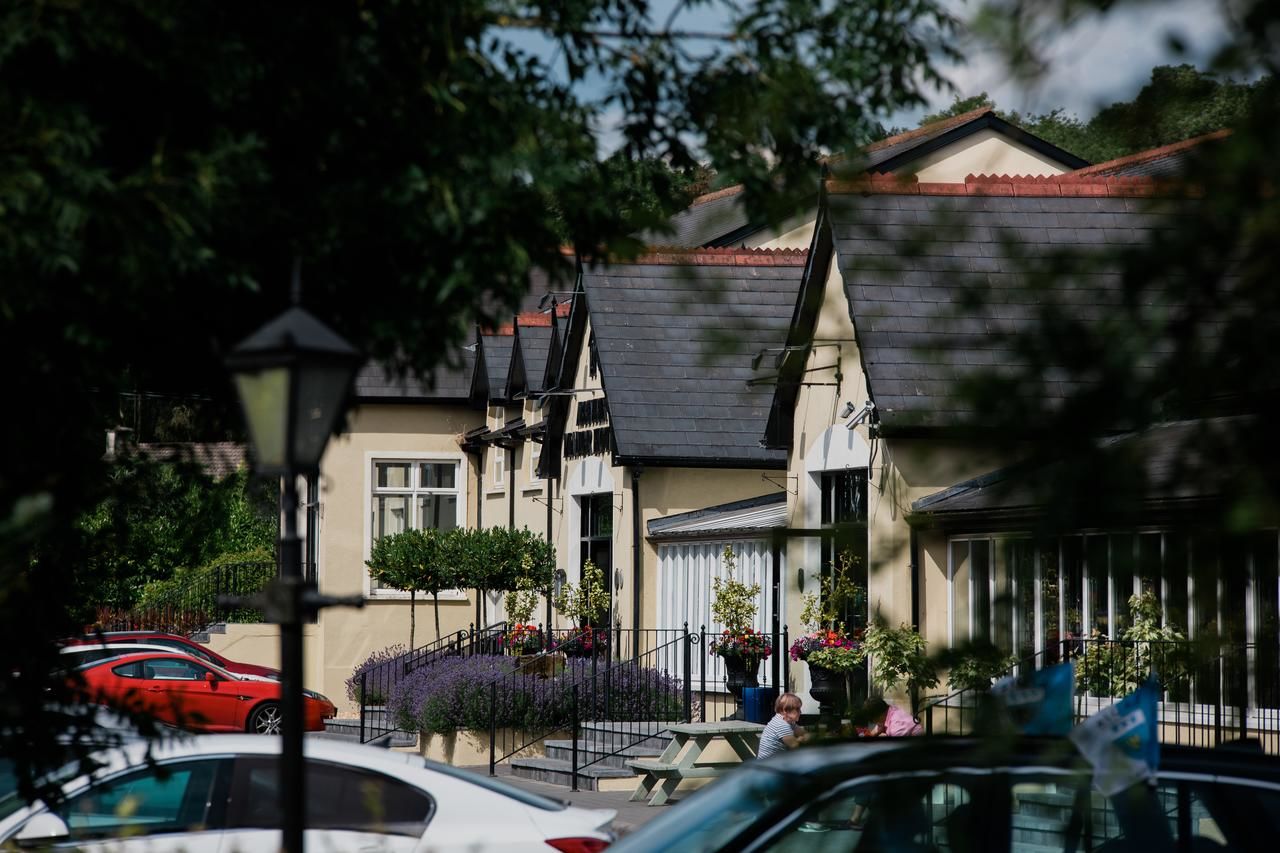 Отель The Abbeyleix Manor Hotel Аббилейкс-38